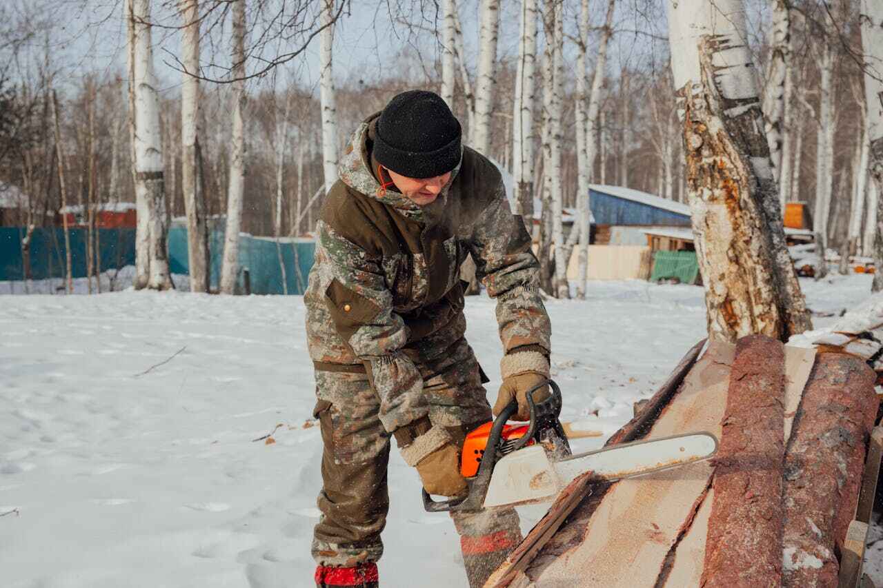 Best Tree Branch Trimming  in USA